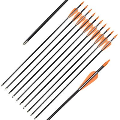 Fiberglass Practice Arrows Archery 28 Inch Target Shooting Safetyglass Recurve Bows Suitable for Youth Children Woman Beginner 6PCS