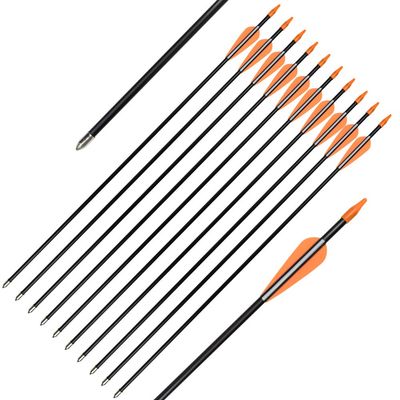 Fiberglass Practice Arrows Archery 30 Inch Target Shooting Safetyglass Recurve Bows Suitable for Youth Children Woman Beginner 12PCS