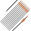 Fiberglass Practice Arrows Archery 30 Inch Target Shooting Safetyglass Recurve Bows Suitable for Youth Children Woman Beginner 12PCS view 1
