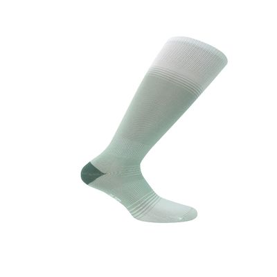Eurosock Standard Ultralite Ski Socks, Silver/White, XS (Women's Shoe 4-5)