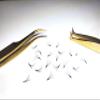 9D - 0.07 C and D Curl 1000 Premade volume fans loose Fans, Handmade eyelash extensions supplies Russian volume lash promade fan (9D - 0.07 - Curl D, 12mm) view 3