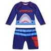 YONGHS Baby Boys Shark Swimsuit Swimwear 2-Piece Outfits Swim Shirt and Trunks Bathing Suit Rash Guard Blue 3-4 Years view 1