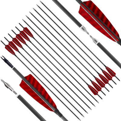 Archery 31 inch Carbon Arrows Targeting Practice Arrows Fletched 4 inch Natural Feather Arrow with Removable Tips Hunting Arrows for Compound Bow Recurve Bow Sport Bow Long Bow (Spine 600,12pcs)