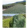 FMNV Camouflage Net, Woodland Camouflage Net Lightweight Durable Grid Camo Netting, for Camping, Backdrop Decoration, Shade, Hunting Shooting view 4