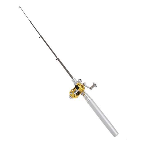 DKEKE Portable Pocket Telescopic Mini Fishing Pole Pen Shape Folded Fishing Rods Lightweight Reel Wheel Rod Fish Tackle DKEKE (Color : Silver)