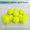 HPWFHPLF Tennis Balls, 15 Pack Practice Tennis Ball for Beginners, Training Playing Tennis Balls for Dogs, Come with Mesh Carry Bag (Yellow) view 4