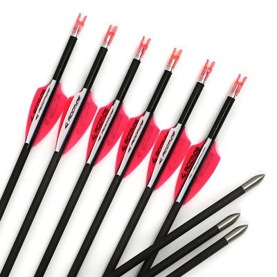 Spine 800 Arrow 25 Inch Arrow Target Practice Arrow Hunting Arrow Carbon Arrows Compound Bow Recurve Bow Adult Youth Archery Indoor Outdoor Shooting Bullet Tip 12pc