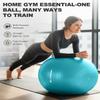 Trideer Yoga Ball Exercise Ball view 3