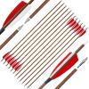 Hunting Archery Carbon Arrows 30 inch Wood Grain Shaft Feather Arrows with Removable Stainless Steel Tips Targeting Arrows for Compound Bow Recurve Bow Sport Bow (Spine 500,12pcs) view 1