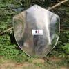 Medieval Knight Armor Lion Shield (22 Inches) view 1