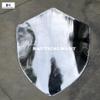 Medieval Knight Armor Lion Shield (24 inches) view 3