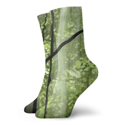GULTMEE Fashion Compression Socks,Jungle View With Waterfall Rocks And Trees Natural Beauty In Wild Atmosphere,Performance Polyester Cushioned Athletic Crew Socks for Running,Athletic, -12 inch