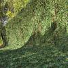 FMNV Camouflage Net, Hide Net Camo Netting Camping Military Hunting Camouflage Net, for Car Cover, Party Decoration, Stealth Camping, Photograph view 2