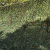 FMNV Camouflage Net, Hide Net Camo Netting Camping Military Hunting Camouflage Net, for Car Cover, Party Decoration, Stealth Camping, Photograph view 3