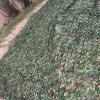 FMNV Camouflage Net, Hide Net Camo Netting Camping Military Hunting Camouflage Net, for Car Cover, Party Decoration, Stealth Camping, Photograph view 4