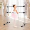 GOFLAME 4FT Ballet Barre Portable, Freestanding Double Ballet Barre Height Adjustable with Anti Slip Base, Heavy Duty Stretch Dance Bar for Home Workout (Sliver) view 2