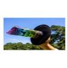 Waboba Throwback, Next Generation AIRLYFT Velcro Throw Back Game, Garden Neon Target Challenge with 2 Paddles & 1 Glider, Catch Fun for All Ages, One Size view 4