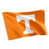 Desert Cactus University of Tennessee UT Flag - 3 x 5 Feet Volunteers Banner, Indoor/Outdoor Durable Fabric, 100% Polyester Design (Style 1) view 1