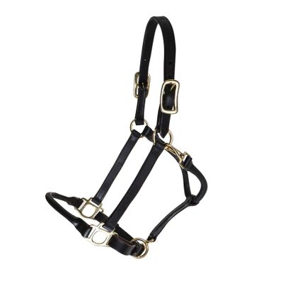 Billy Royal Paris Rolled Nose Leather Halter for Horses | 3/4" Grade A Leather | Rolled Noseband for Fine Heads | Brass Hardware | Fully Adjustable Fit | Size Two Year Old
