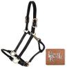 Billy Royal Paris Rolled Nose Leather Halter for Horses | 3/4" Grade A Leather | Rolled Noseband for Fine Heads | Brass Hardware | Fully Adjustable Fit | Size Two Year Old view 3