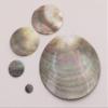 1 Pcs 10-80mm Flat Round Natural Black Lip Shell Pendant Earring Mother of Pearl - (Item Diameter: 50mm) view 1