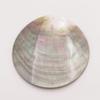 1 Pcs 10-80mm Flat Round Natural Black Lip Shell Pendant Earring Mother of Pearl - (Item Diameter: 50mm) view 2