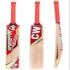 CW Trainer Red Blue Wooden Cricket kit for All Age Groups Kashmir Willow Cricket Bat Size 3-6 Cricket Glove Kit for Boys - Senior Men Full Size Left & Right Hand Kit (5 for 10-11 Yr, Left Red) view 2