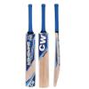 CW Economy Blue Cricket Kit Without Helmet for All Age Group Cricket Kit for Unisex Adult Senior Right Hand Full Set Size 4 view 2