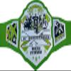 DX Generation Wrestling Championship Replica Belt, Chrome Plated (Zinc), Green view 2