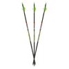 Carbon Express Adrenaline FPS Arrows 400 6 pk. view 1