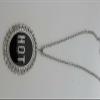 Women Silver Metal Chains Necklace Large HOT Pendant Bling Statement Chunky Necklace view 4
