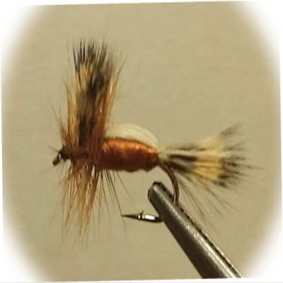New 1 Dozen - Brown Humpy - Dry Fly - Trout Lure Bait Fishing Equipment FL-0146RD