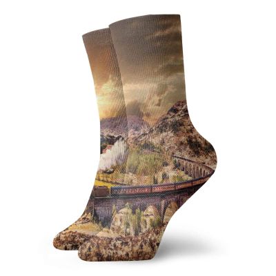 GULTMEE Wizard Fashion Compression Socks,Wizard School Express Famous Train Landscape,Performance Polyester Cushioned Athletic Crew Socks for Running,Athletic,Brown -12 inch
