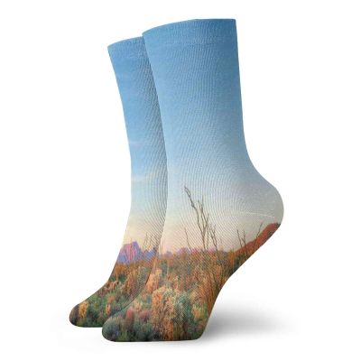 GULTMEE Funky Colorful Cushion Sport Socks,Photo Of Cactus With Spikes Plant Flower In A Desert At The Sunset Lansdcape Image,Athletic Cushioned Running Performance Crew Socks For Men/Women, -12 inch