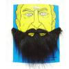 Soochat Halloween Beard Fake Beard False Beards Funny Mustache for Costume Party Supplies view 2
