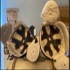 Dog Ear Leather Football Helmet (1915-1924) Adult view 3