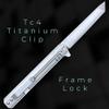 TACTICAL GEARZ Titanium Pocket Knife for EDC, Solid Tc4 Titanium Handle, D2 Steel Tanto Blade, Includes Sheath (Seren Platinum) view 3
