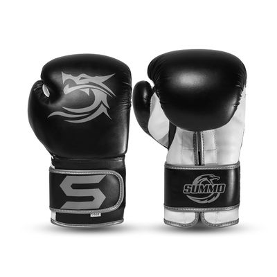Dragon Silver Training Boxing Gloves (12)
