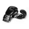 Dragon Silver Training Boxing Gloves (16) view 4