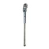 TRANZAQ TITANIUM KICKSTAND FOR BROMPTON (Titanium) view 1