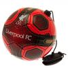 Liverpool F.C. Hy-Pro International Ltd Team Merchandise Skills Trainer view 1