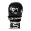 Dragon Silver Training Sparring Gloves (L/XL) view 2