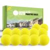 FINGER TEN Golf Practice Balls More Weight Real Ball Travel Value 12/24 Pack, 1/3 Distance of Regulation Golf Ball for Backyard Garden School, Ture Flight Feel Indoor Outdoor Use (Yellow, 24 Pack) view 1