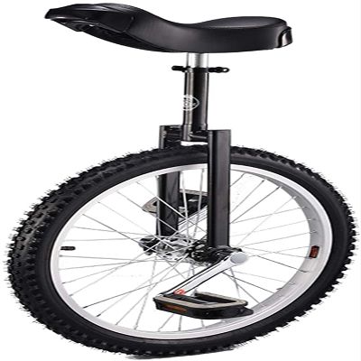 LJYT Big Wheel Adult Bikes Unicycle, 20" Balance Cycling Unicycles with Ergonomical Design Saddle for Travelling Acrobatics, 150Kg Load