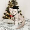 Balacoo Pet Hat and Tie Set Guinea Pig Grooming Kit Chinchilla Bow Tie Formal Casual Pet Dress view 2