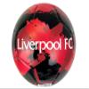 Icon Sports Compatible to Liverpool Soccer Ball (Size 4), Licensed Liverpool Soccer Ball #4 view 2