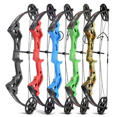 AMEYXGS Archery Compound Bows Kit M3 Draw Weight 10-30 lbs IBO 260fps Youth Bow Set with Accessories - Right Handed (Blue Bow)