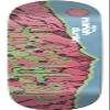 Meow Skateboards Mariah Duran Sandia Skateboard Deck - 8.25" x 32.125" view 1