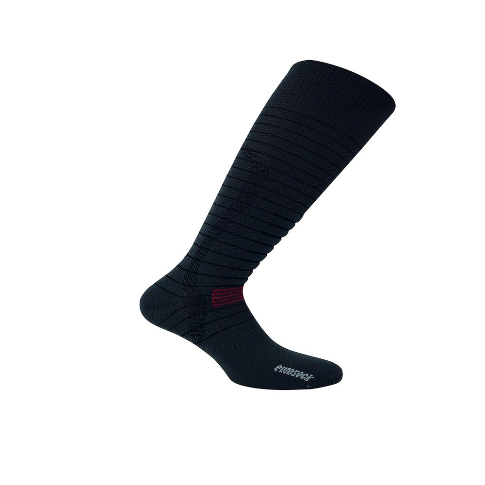 Eurosock Silver Ski Light Ski Socks (US, Alpha, Large, Regular, Regular, Charcoal)