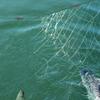 Fishing Gill Net Handmade Three Layers Fishing Seine Net 50/100m Length, 1.5/2m Depth, 4cm Mesh, Fishing Trap Sticky Net view 4